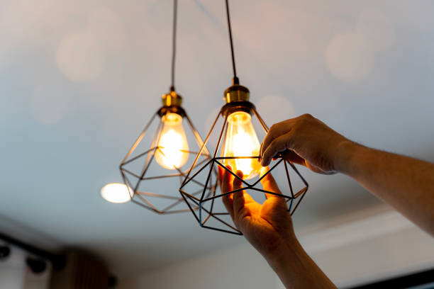 Best Industrial Electrical Services  in Potterville, MI