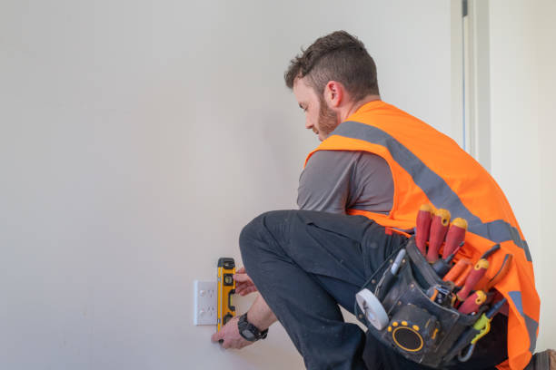 Best Affordable Electrician  in Potterville, MI