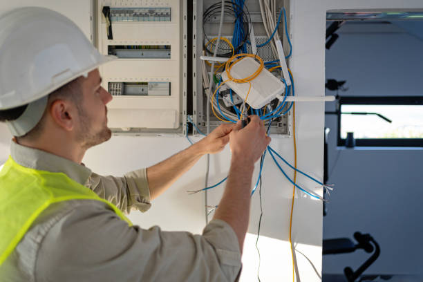 Best Electric Panel Repair  in Potterville, MI
